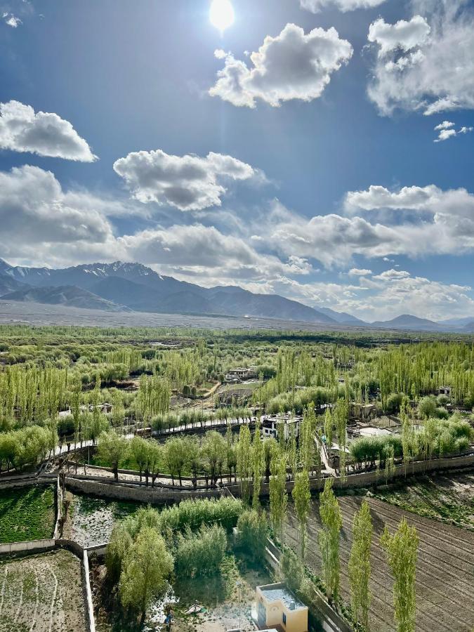 Heschuk Guest House Leh Exterior photo