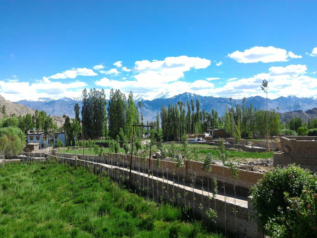 Heschuk Guest House Leh Exterior photo