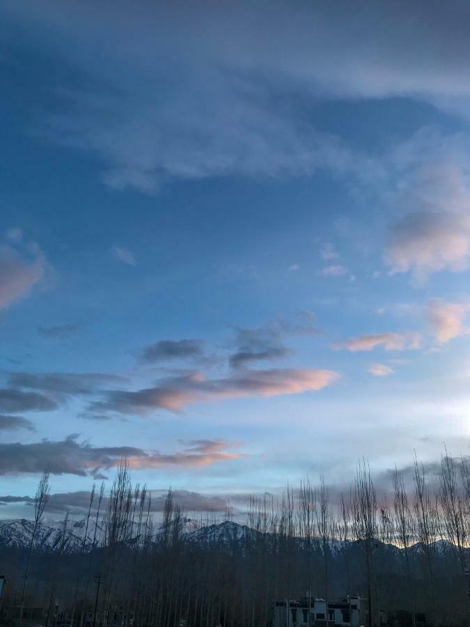 Heschuk Guest House Leh Exterior photo